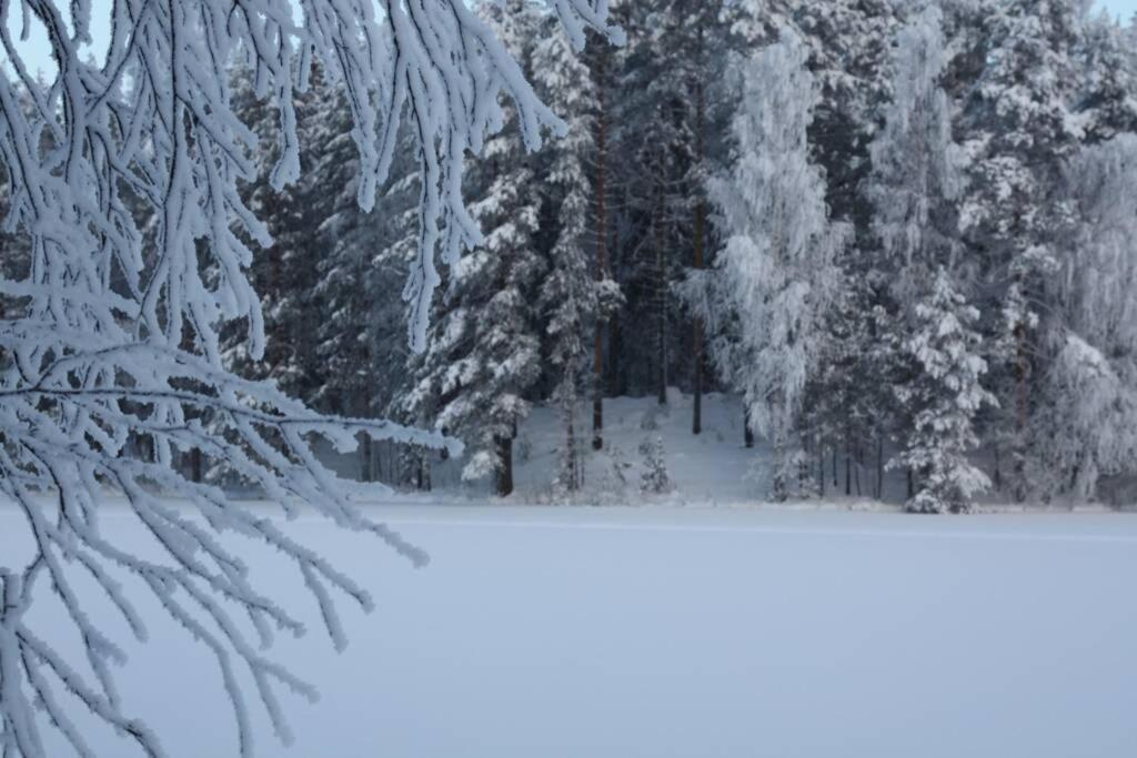 Cozy Holiday Home In Savonranta Savonlinna Dış mekan fotoğraf